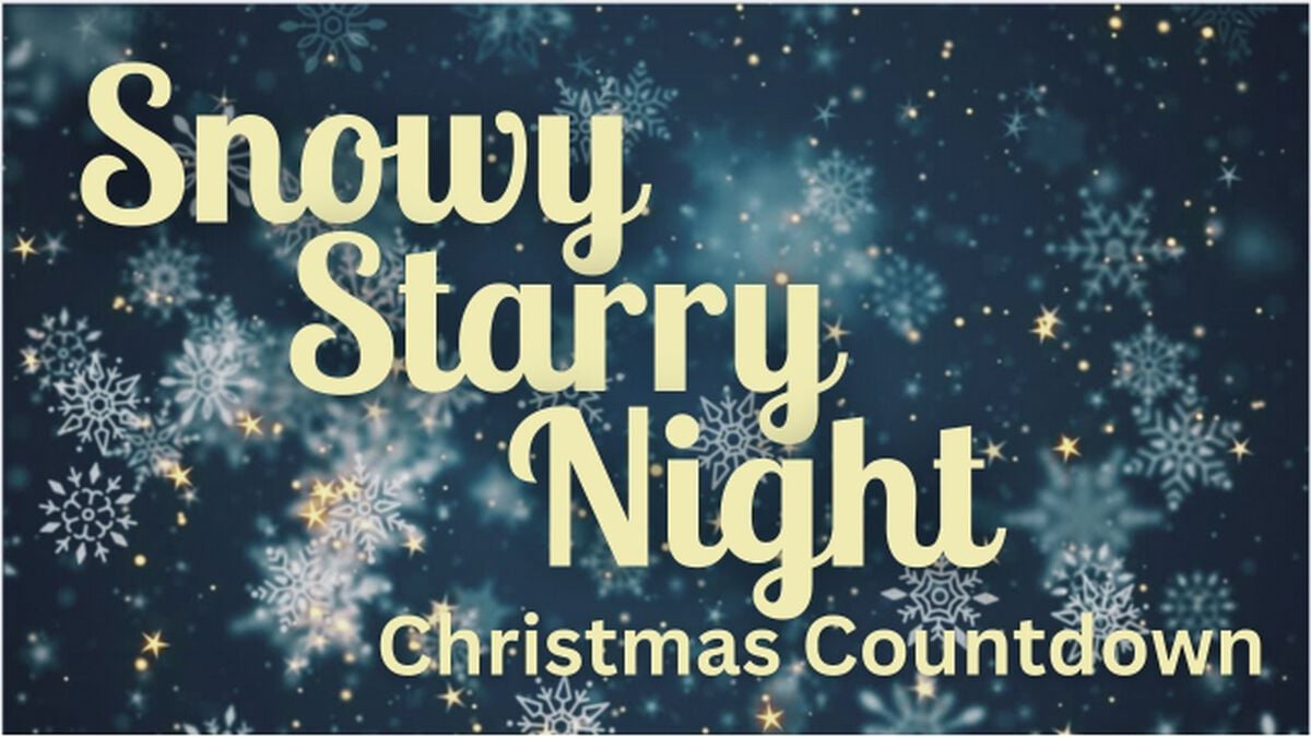 Snowy Starry Night Christmas Countdown image number null